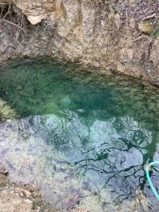 Naturlandskabet i nærheden af landstedet