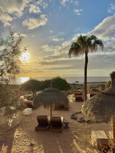 ein Strand mit Sonnenschirmen und Stühlen und einer Palme in der Unterkunft Luxury studio Tenerife in Playa de las Americas