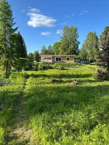 Zahrada ubytování Villa Tuomaa - Authentic Riverside Residence