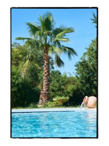 a palm tree next to a swimming pool with a palm tree at L'eau vive in Saint-Martin-de-la-Brasque