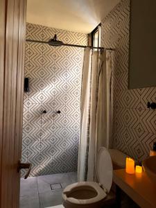 a bathroom with a shower with a toilet and a sink at Tiny Cozy Cabin las moras in San Mateo Río Hondo +19 photos
