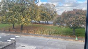 a view of a park with trees and a fence at Modern design residence in Dublin +17 photos