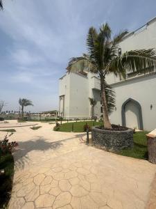 un bâtiment avec un palmier devant dans l'établissement Moroj Al Zain - M49, à Salalah