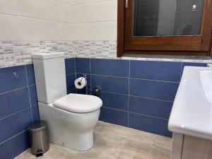 アーチ・カステッロにあるCasa Vacanza I LIMONI DI SICILIAの白いトイレと青いタイルのバスルーム +5枚の写真
