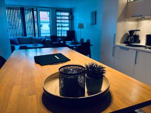 une table avec deux plantes en pot dessus dans l'établissement Bergen Centrum Modern Apartment, à Bergen 9 autres photos
