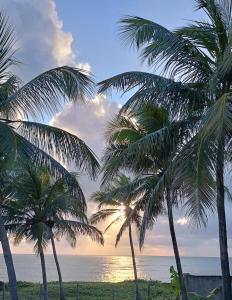 a group of palm trees in front of the ocean at PanaPaná in Maxaranguape +7 photos