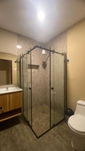 a bathroom with a shower with a sink and a toilet at Céntrico Dpto Puca Lima a 2 cuadras de Hospital Rebagliati y Real Plaza Salaverry in Lima