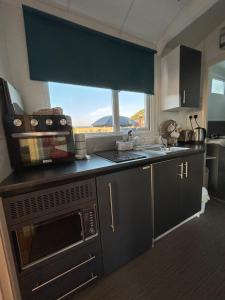 a kitchen with a sink and a microwave and a window at Welsh Bayview Retreat 2-Bed Lodge at Clarach Bay Holiday Village in Aberystwyth