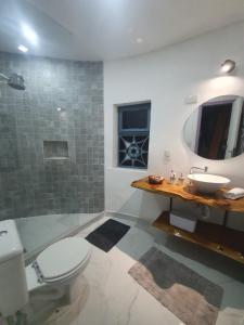 a bathroom with a toilet and a sink and a mirror at Tejase in Araras Petropolis