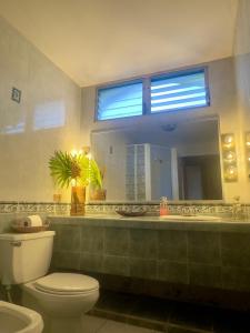a bathroom with a toilet and a sink and a mirror at Villas del Mar in La Ceiba +33 photos