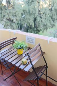 Un banco de madera con una planta en maceta junto a una ventana. en Apartamento La Venencia, en Jerez de la Frontera