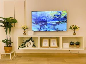 una TV appoggiata su uno scaffale con delle piante di Entire 2 Bedroom Family Friendly House in Belem Lisbon 3 to 5 Guests a Lisbona