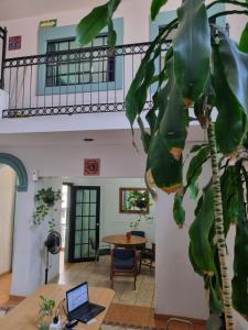 an office with a plant and a laptop on a desk at Suites Chingón in Guadalajara