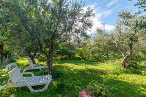 twee witte banken in het gras onder de bomen bij Holiday house with a parking space Babici, Umag - 13795 in Umag +9 foto's