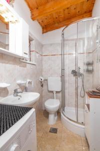 een badkamer met toilet, douche en wastafel bij Holiday house with a parking space Babici, Umag - 13795 in Umag
