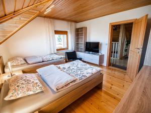 TV a/nebo společenská místnost v ubytování Relaxing Retreat with Hot Tub in Sevnica - Three Bedroom Apartment