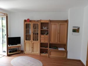 One-bedroom apartmentにあるテレビまたはエンターテインメントセンター