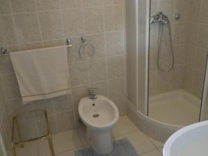 a bathroom with a shower and a toilet and a sink at Apartments Julia - Studio Apartment Julia 1 in Martinšćica +1 photo