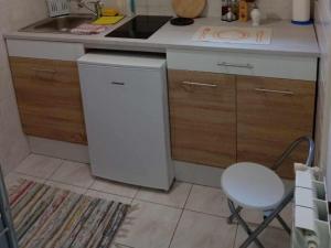 a small kitchen with a sink and a dishwasher at Apartments Julia - Studio Apartment Julia 1 in Martinšćica