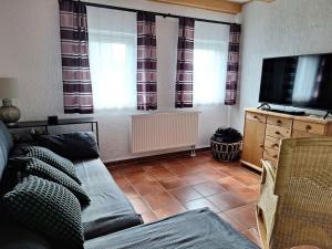 TV a/nebo společenská místnost v ubytování Holiday home in Gießübel with Wi-Fi