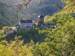 an old castle sitting on top of a hill at Holiday home with 3 bedrooms in Treis-Karden