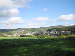 a green field with a town in the distance at Lense, with piano in Stephanshausen +7 photos