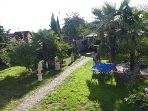 a yard with a table and chairs and palm trees at Guesthouse König in Gommersheim
