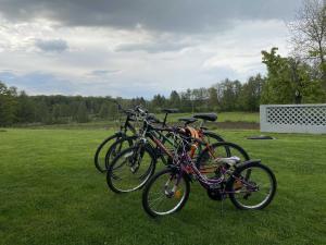 Jízda na kole v ubytování Cozy Luxe Holiday Home with Natural Thermal Bath - Seven Bedroom Holiday Home nebo okolí