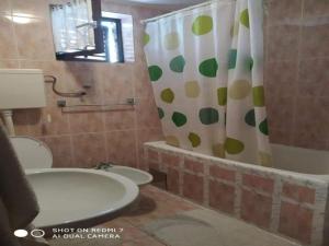 a bathroom with a toilet and a shower curtain at Two Bedroom Apartment With Terrace A4 in Brist