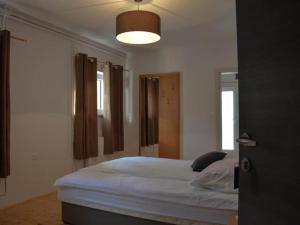 een slaapkamer met een bed met een licht aan het plafond bij Standard One Bedroom Apartment in Čatež ob Savi