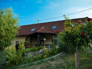 een huis met een tuin ervoor bij Standard One Bedroom Apartment in Čatež ob Savi