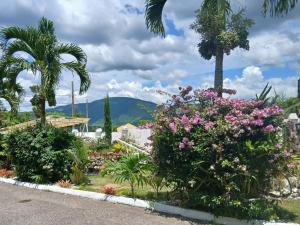 a garden with pink flowers and a palm tree at Mandeville Hideaway in Mandeville