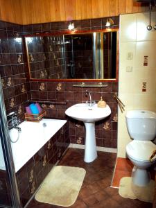 ein Bad mit einem Waschbecken, einem WC und einer Dusche in der Unterkunft Apartament Classic Gdynia in Gdynia