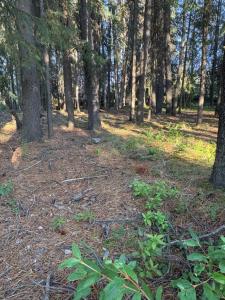 Příroda nedaleko hotelu