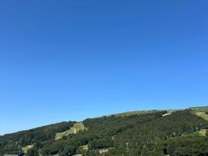 Blick auf einen Berg mit Bäumen und blauem Himmel in der Unterkunft Appartement duplex 4 pers, centre station, garage privé - FR-1-814-82 in Besse-et-Saint-Anastaise
