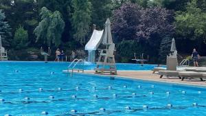 a swimming pool with ducks in the water at The Nest at Pinecrest by AvantStay Spacious Deck Game Room Fire Pit in Pocono Pines