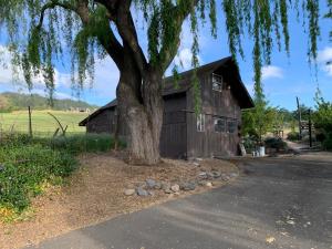 a barn with a tree in front of it at Farmhouse Rv - Sunset Pergola - Fire Pit - Views in Jacksonville
