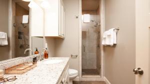 ブラック・マウンテンにあるSweetgum by AvantStay Black Mountain Retreat w Covered Deckのトイレ、洗面台、シャワー付きのバスルーム +35枚の写真