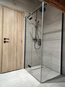 a shower with a glass door in a bathroom at Apartments with swimming pool Bacici, Krka - 24721 in Drinovci