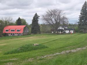 Foto dalla galleria di The Gathering Spot - Soccer and Cricket Ground a Roseneath
