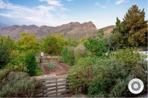 Naturlandskabet i nærheden af lejligheden