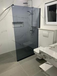 a bathroom with a shower and a toilet and a sink at Paradise of Bogë Naturhaus in den Bergen von Peja in Peje +15 photos