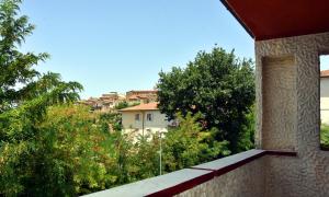 OtricoliにあるB&B Il Colleの木々のある家のバルコニーからの眺め