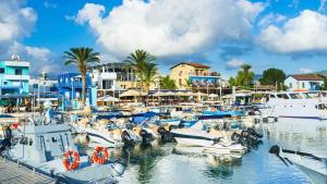 a bunch of boats docked in a marina at Silver View Apartment in Polis Chrysochous