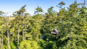 an aerial view of a cabin in the trees at Penn Cove Overlook by AvantStay Cabin w Views in Oak Harbor