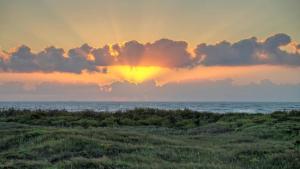 Gallery image of Beachfront Condo Prvt Balcony w View Pool Access Beach Happy by AvantStay in Port Aransas