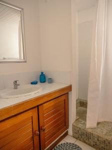 a bathroom with a sink and a mirror at Canopy House in Tamarin +16 photos
