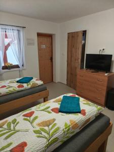 Afbeelding uit fotogalerij van Penzion u Bohdy in Jaroslavice