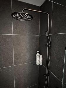 a shower with a shower head and two bottles at Remarkables Escape in Queenstown Airport +21 photos