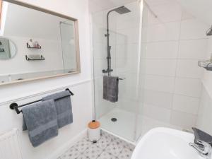 a bathroom with a shower and a toilet at Minn's Cottage in Snainton +15 photos